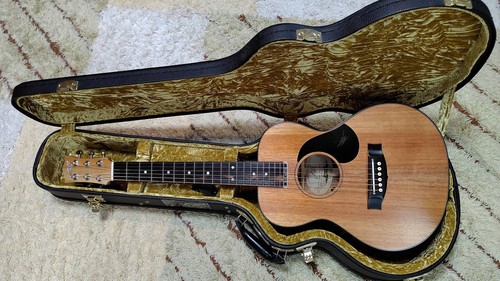 Maton per chitarra - , acustica
