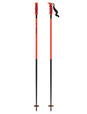 Bastoncini da sci ATOMIC