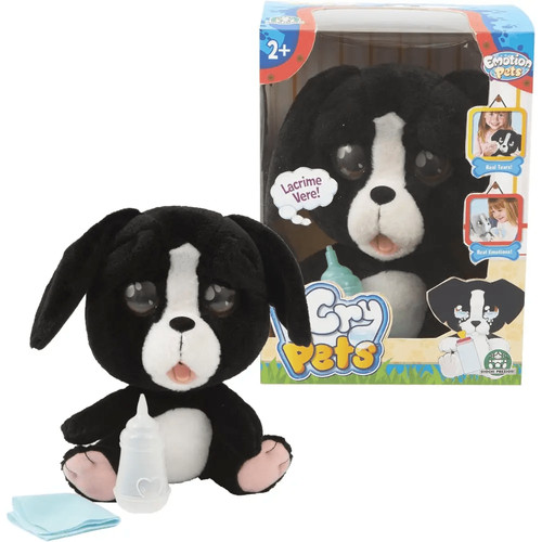 Emotion pets cry - pets,