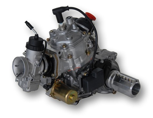 Rotax 125 max dd2 - max, >58