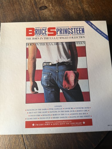 Bruce springsteen born the - springsteen, in
