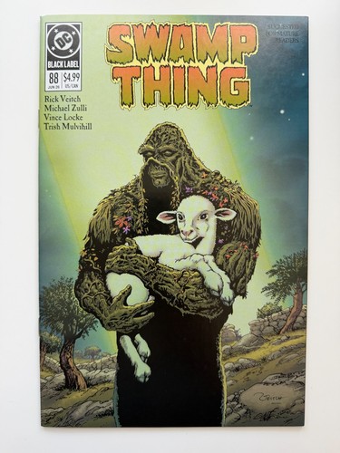 Swamp thing 1989 cover - swamp,