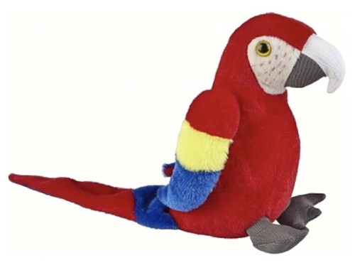 Teddy pappagallo peluche - pappagallo, in