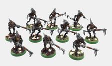 Kroot Carnivore Squad