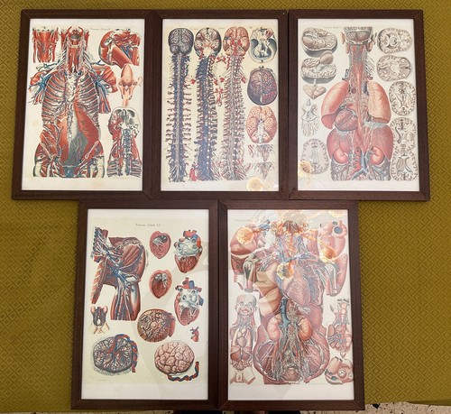 Set quadri vintage tavole - vintage,