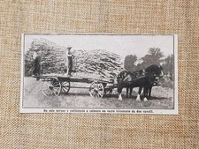 Il miracoloso terreno di