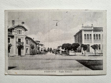 Codroipo Viale Vittoria Cartolina Viaggiata Friuli 1946