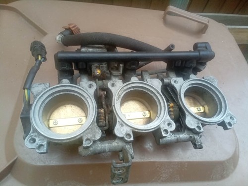 Corpo farfallato triumph - corpo,