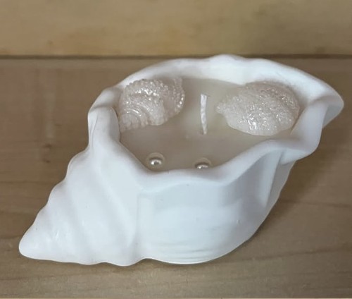 Vaso conchiglia gesso - conchiglia,