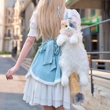 Carino Ragdoll Calico gatto