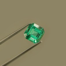 8x8 MM Laboratrio Cresciuta