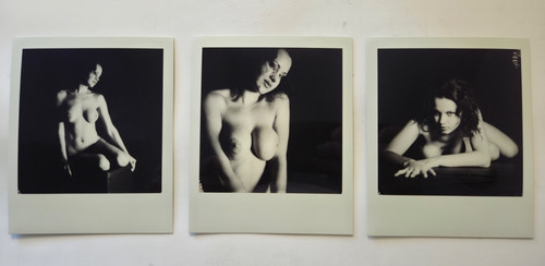 Serie fotografica polaroid - serie,