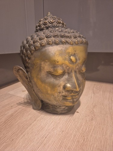 Testa buddha di - di,