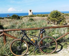 bici mtb 29Per passaggio ad e-bike. Vendo Scott scale 925 in carbonio comprata m