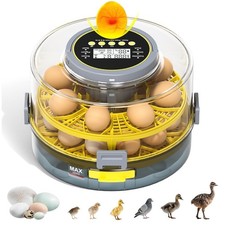 Egg incubator with auto - egg,