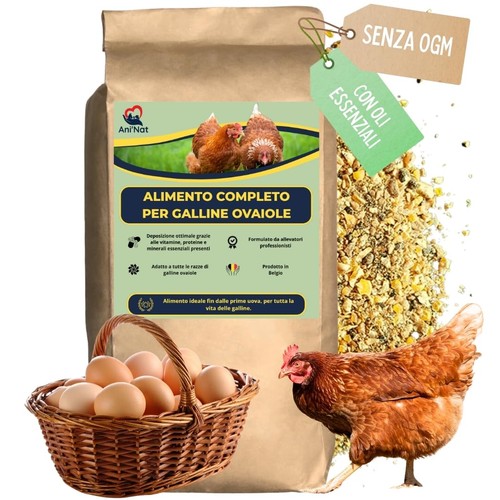 Mangime per galline ovaiole - galline,