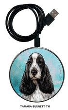 Caricatore telefono e