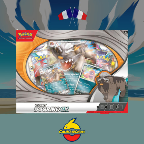 Coffret pokémon dogrino 4 - pokémon,