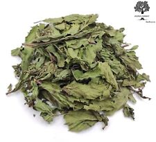 Foglie intere di menta