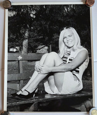 Panca Upskirt donna bionda