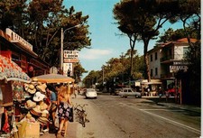 Marina di Massa Carrara Toscana IT Viale delle Pinete Campeggio