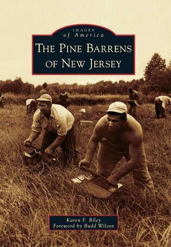 New arcadia publishing the - new,