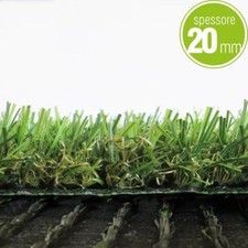 ERBA SEMPREVERDE PRATO