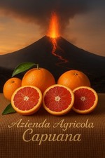 Arance Tarocco Gallo