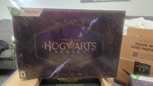 Harry potter hogwarts legacy - harry,