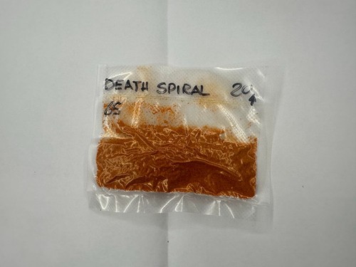 Peperoncino piccante death - peperoncino,