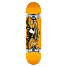 Skateboard Completo Anti Hero Team Eagle MD Orange 7.75'' - Skate Professional