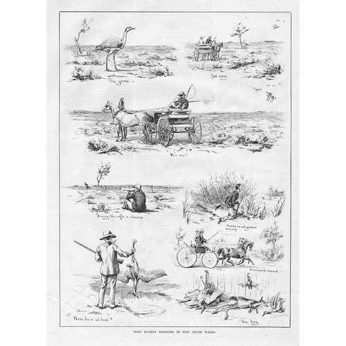 Australia sparatoria - sparatoria, in
