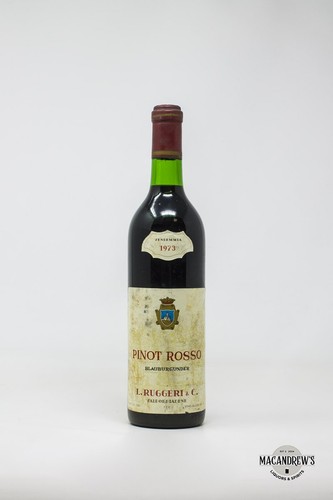 Pinot rosso ruggeri - pinot, c