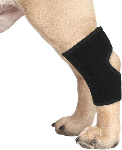 Pezzo ginocchiera per cani - 1,