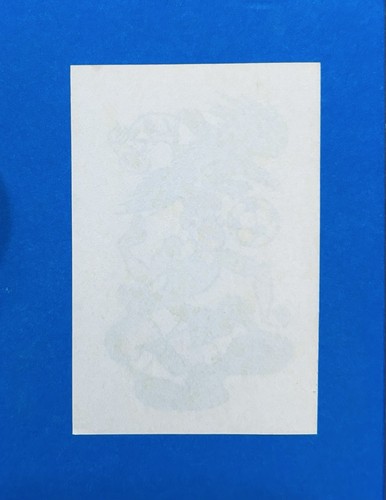 Figurina calciatori panini - figurina,