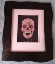 Damien Hirst - motivo skull teschio firmato in lastra riproduzione fotografica