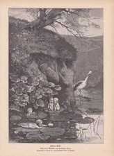 Cicogna Babys Bellissimo