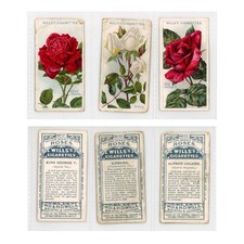 Wills Roses Second Series 1913