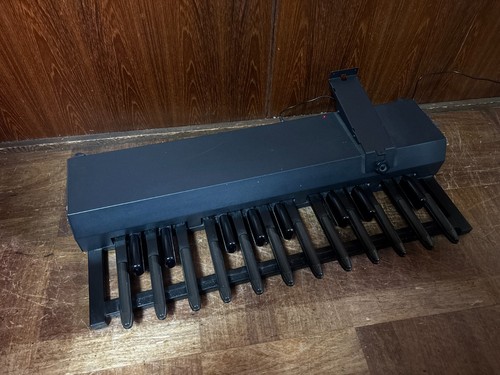Pedaliera midi hammond xpk200 - pedaliera,