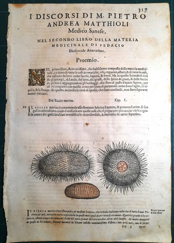 Stampa antica mattioli - antica,