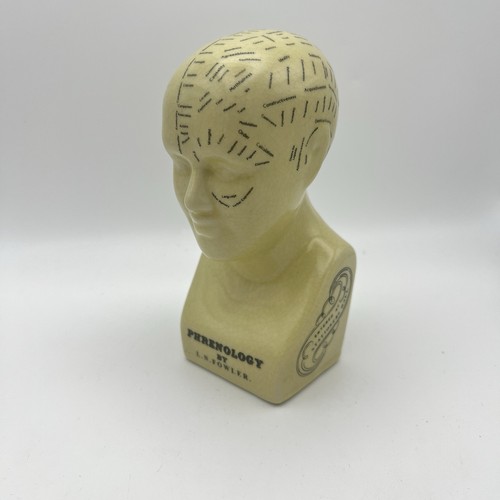 Busto testa frenologica