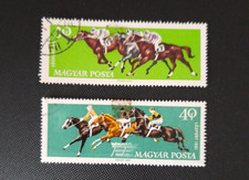 Hungary - Equestrian horses