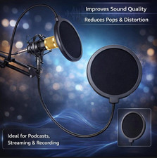 Microfono Professionale Filtro