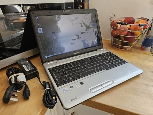 Toshiba satellite l500 intel - satellite,