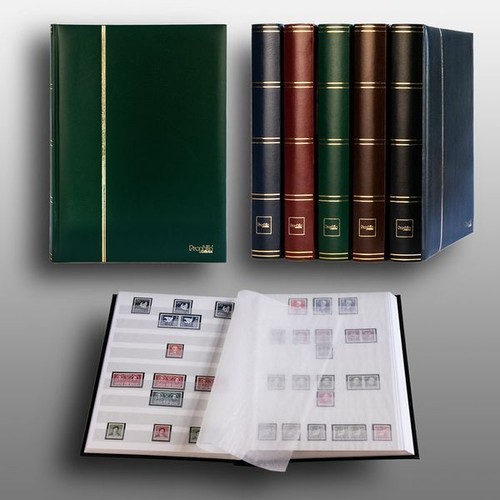 Prophila classificatori - , 60