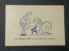 PALIO DI SIENA TARTUCA