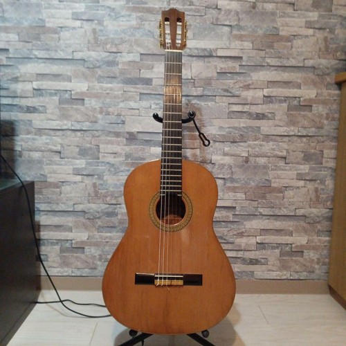 Hiroshi tamura chitarra - tamura,