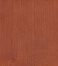 Kit stipite spazzolini