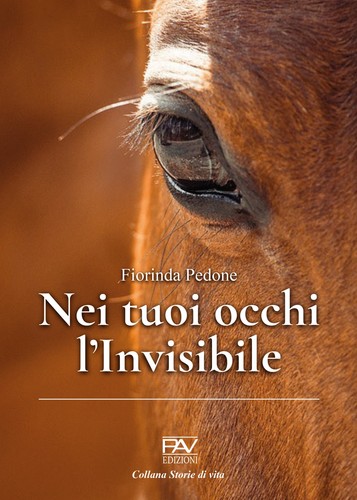 Nei tuoi occhi - ,