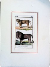 Stampa Antiche Epoca '800